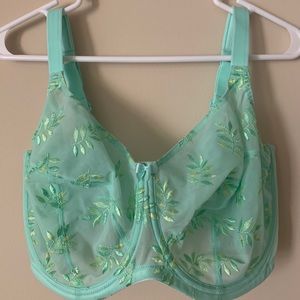 Panache SuperBra Brand New USA 36GG